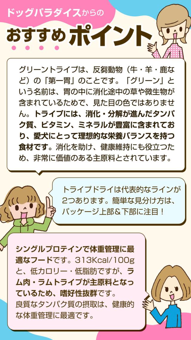おすすめポイント