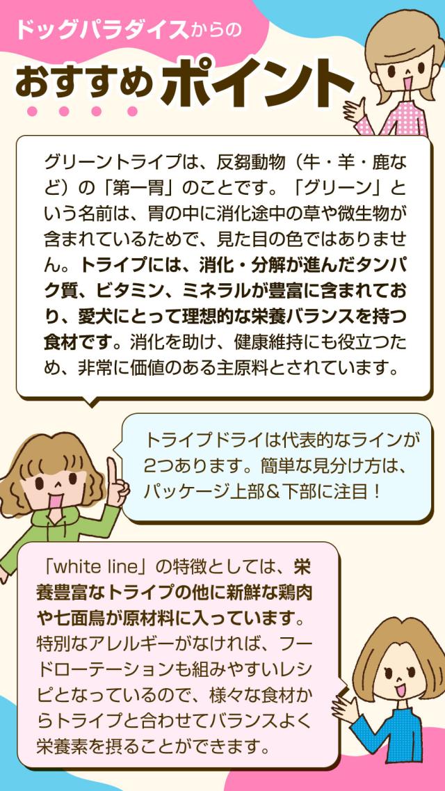 おすすめポイント