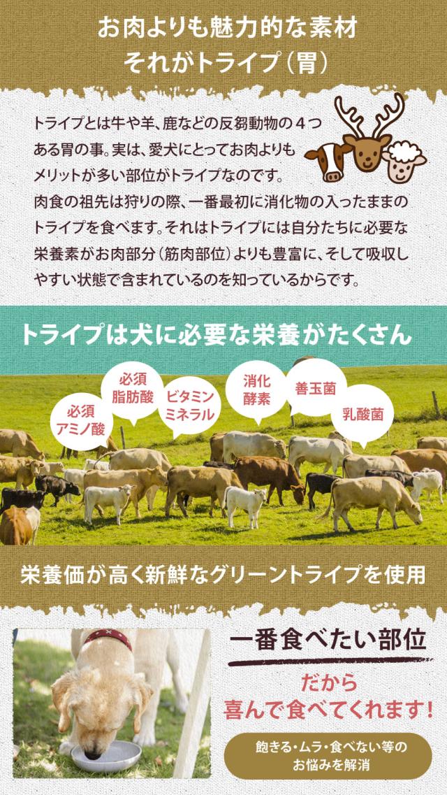 トライプドライ PetKind tripedry グレインフリー ビーフトライプ