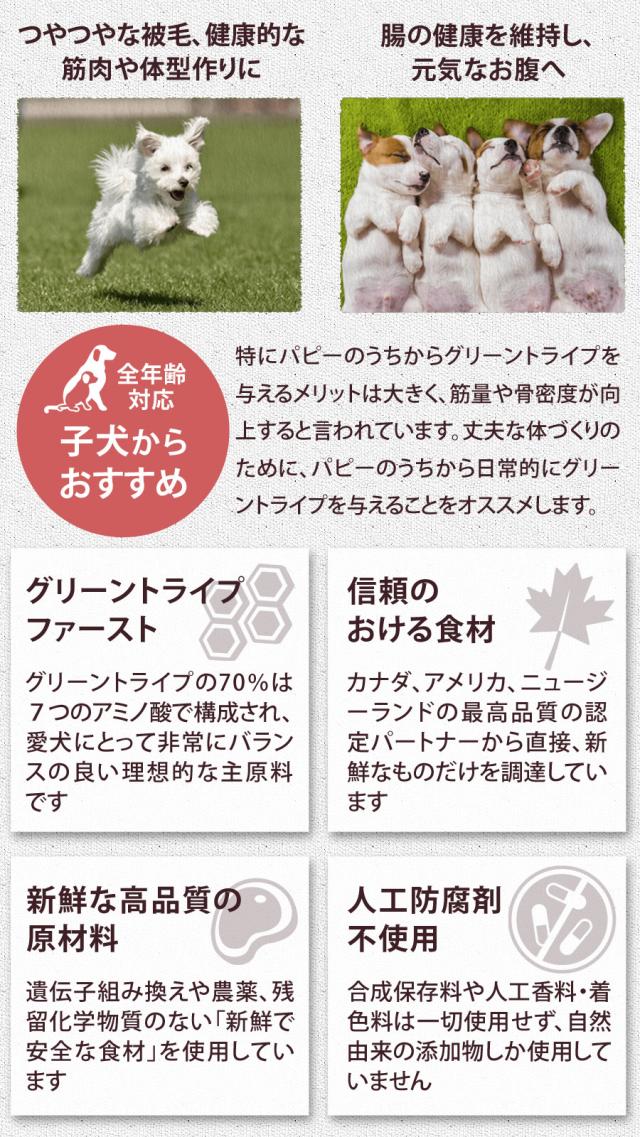 トライプドライ PetKind tripedry グレインフリー ビーフトライプ