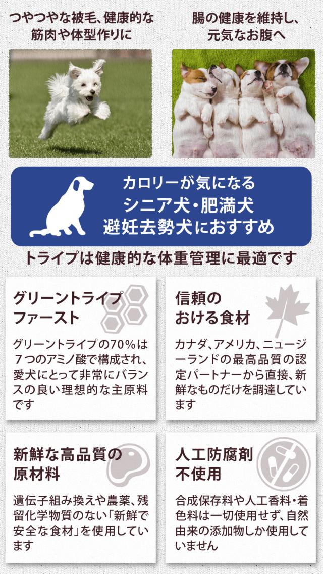 トライプドライ PetKind tripedry グレインフリー ウェイトマネージメントSAP　ラムトライプ　小粒
