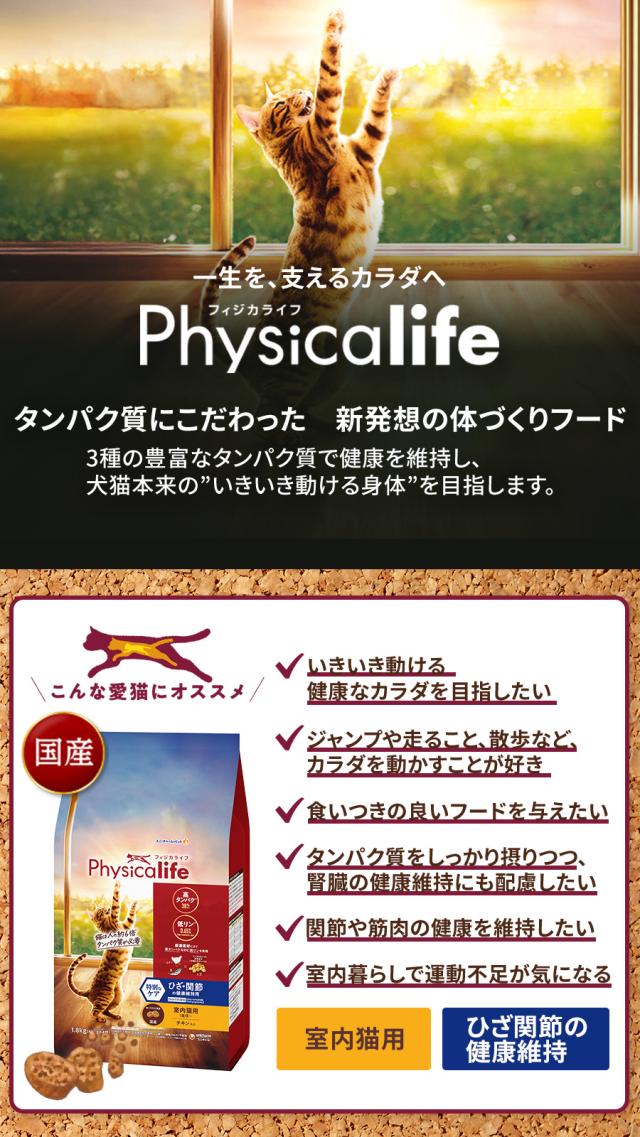 Physicalife