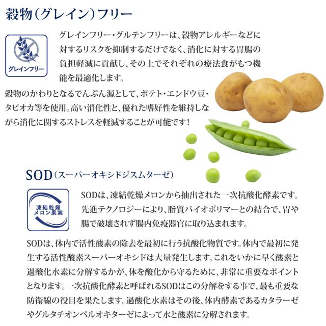 Monge VetSolultion紹介