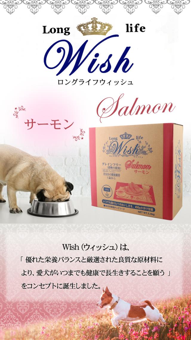 ウィッシュサーモン