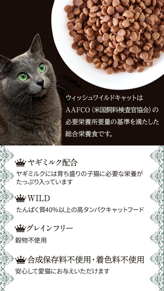 ウィッシュキャット キトン