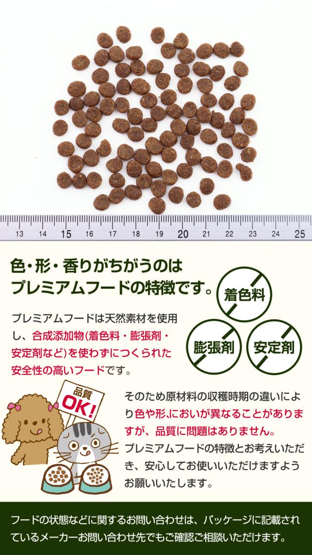 粒