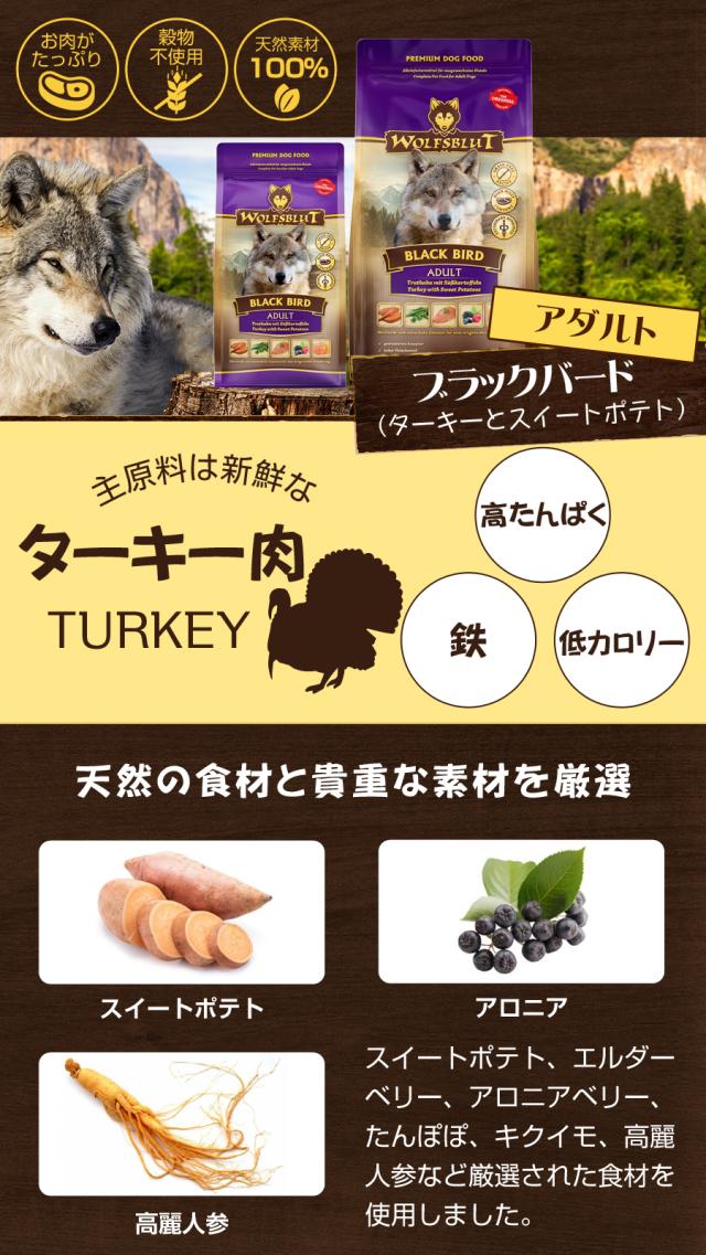 ウルフブラット アダルト ブラックバード 