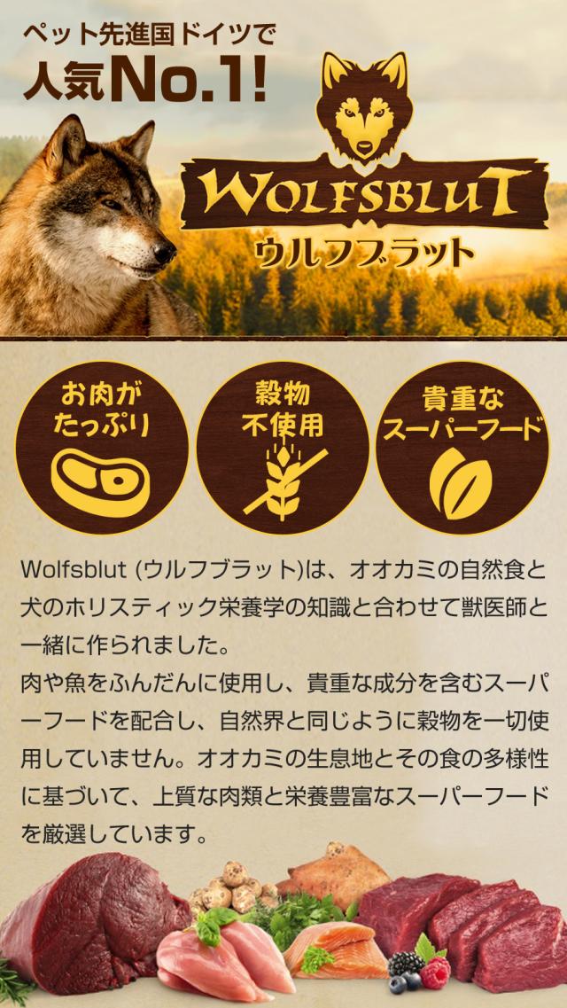 ウルフブラット アダルト ブラックバード 