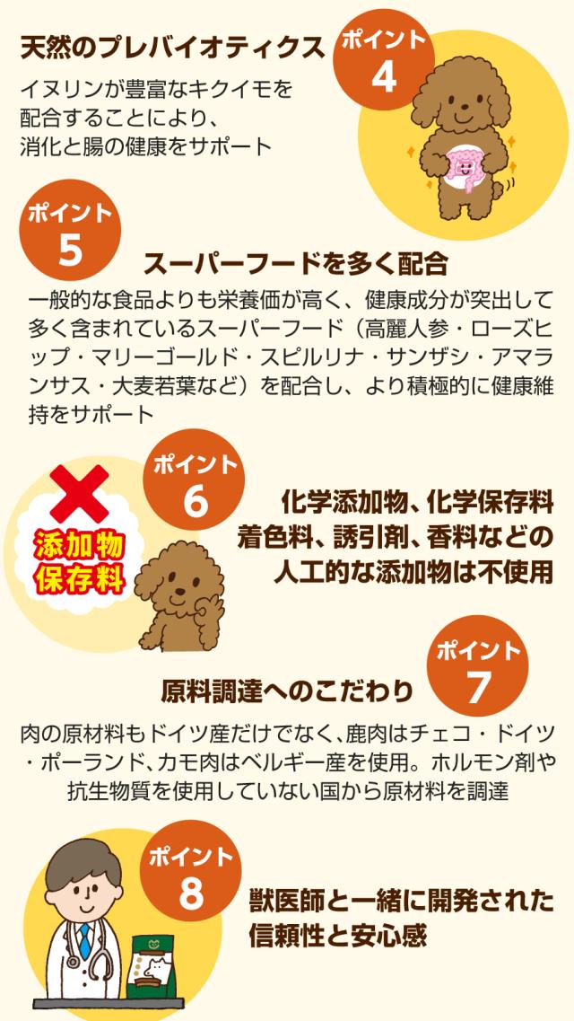 ウルフブラット アダルト ブラックバード 