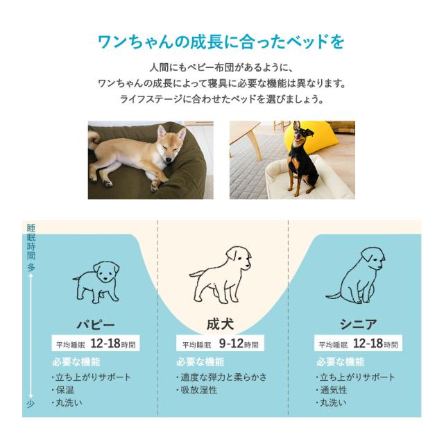 公式の 犬 ペット ベッド ペットベッド 犬用ベッド 犬用 ベット 3d Mサイズ カバーを外して洗える パピー 成犬 シニア 老犬 カドラー 高反発ウレ 超人気の Centrodeladultomayor Com Uy