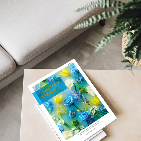 お祝い、お返しに： テイク・ユア・チョイス アマリリス