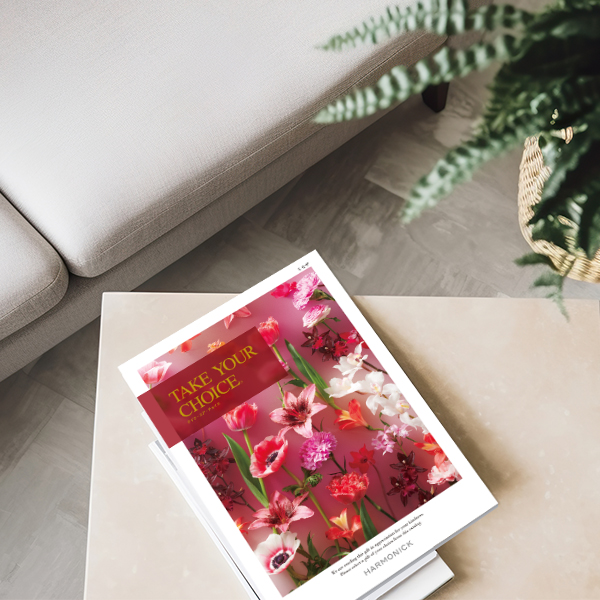 お祝い、お返しに: テイク・ユア・チョイス ミモザ