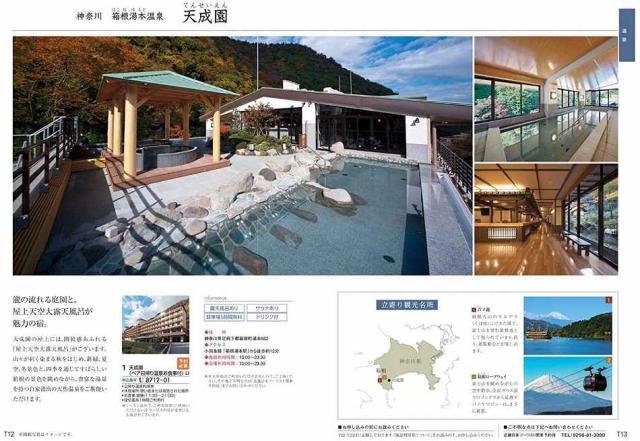 お祝い、お返しに: テイク・ユア・チョイス ミモザ