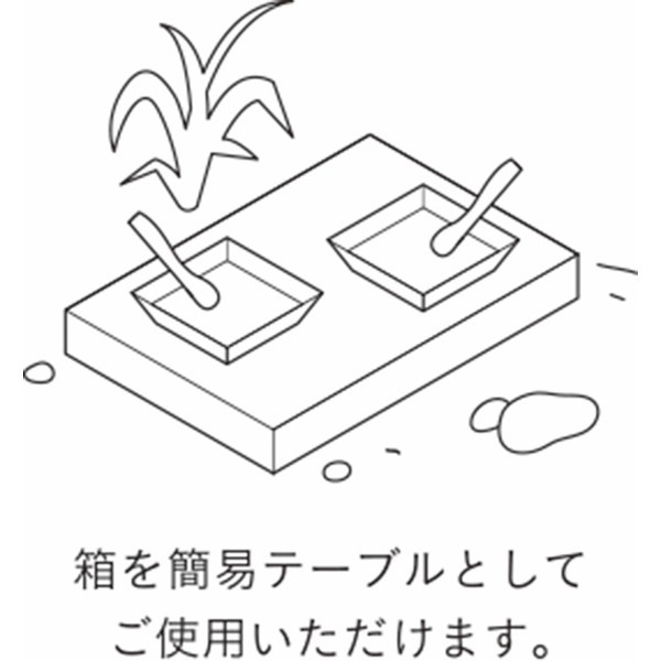 ＩＺＡＭＥＳＨＩ　キャリーボックスデリドン  635766