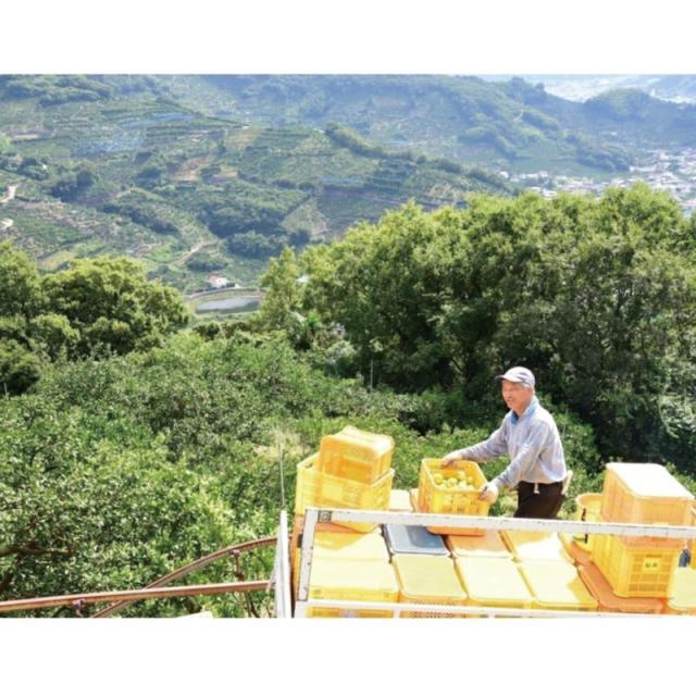 販促、ノベルティ,記念品は:和歌山  伊藤農園  寒天ジュレドリンクタイプ JD-8