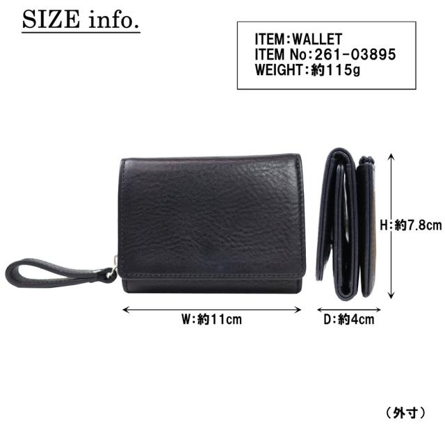 261-03895