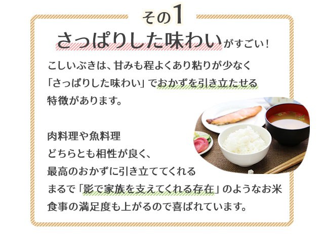 令和6年産】新潟県産 こしいぶき 10kg （5キロ×2袋） 【送料無料