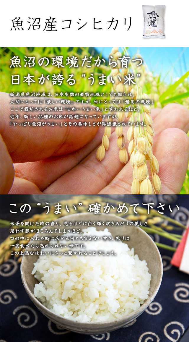 令和6年産【食べ比べセット】 新潟のお米 2kg × 3種類 【送料