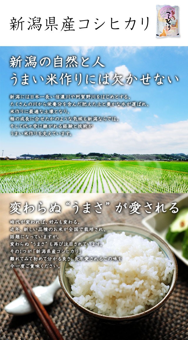 あきたこまち 無洗米 10kg 送料無料 秋田小町 5kg×2袋 秋田県産
