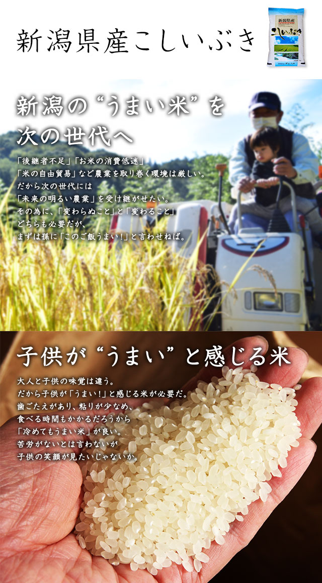 お米5kg2セット お米2kg IRIS OHYAMA 【新米】米 2kg 令和6年産 無洗米 秋田県産