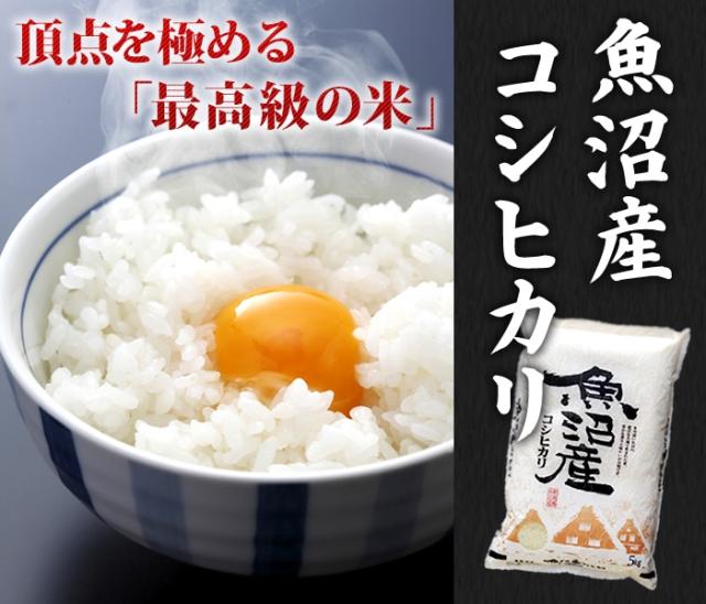 令和6年　魚沼産 コシヒカリ　5kg✖️２袋　計10kg ① 令和6年産】 魚沼産 コシヒカリ 10kg セット （5キロ×2袋