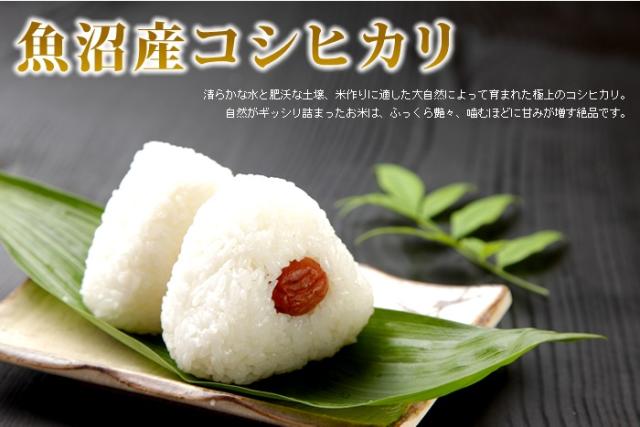 魚沼産コシヒカリ