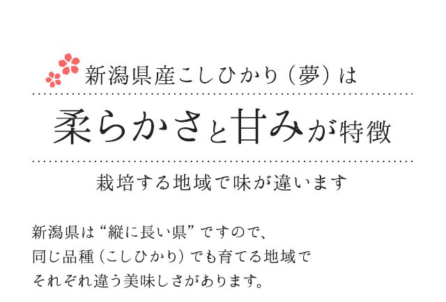 令和5年産】新潟県産 コシヒカリ 25kg （5キロ×5袋） 【送料無料 ※沖縄