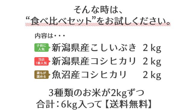 令和5年産】新潟県産 コシヒカリ 2kg（2キロ×1袋） 米 2キロ 精米 令和 ...