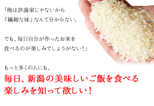 令和5年産】新潟県産 コシヒカリ 25kg （5キロ×5袋） 【送料無料 ※沖縄