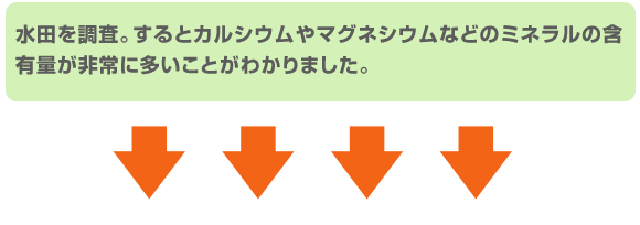 水田を調査。するとカルシウムやマグネシウムなどのミネラルの含有量が非常に多いことがわかりました。