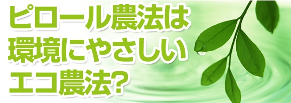 ピロール農法は環境にやさしいエコ農法?