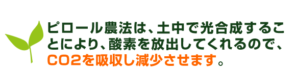 ピロール農法は、土中で光合成することにより、酸素を放出してくれるので、CO2を吸収し減少させます。