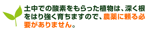 土中での酸素をもらった植物は、深く根をはり強く育ちますので、農薬に頼る必要がありません。