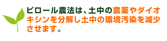ピロール農法は、土中の農薬やダイオキシンを分解し土中の環境汚染を減少させます。