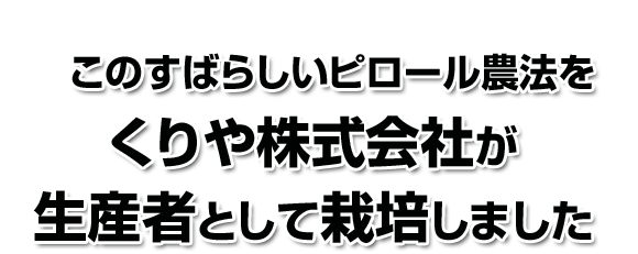このすばらしいピロール農法をくりや株式会社が生産者として栽培しました