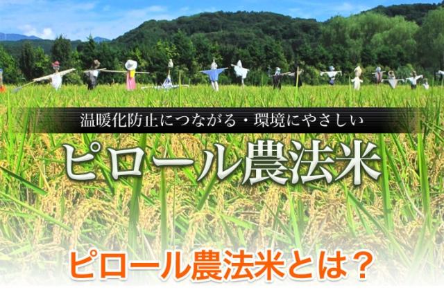 温暖化防止につながる 環境にやさしいピロール農法米