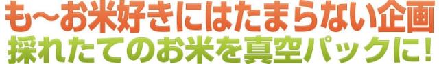 も?お米好きにはたまらない企画 採れたてのお米を毎月お届け!