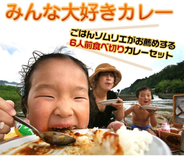 ごはんソムリエがオススメする6人前食べ切りカレーセット