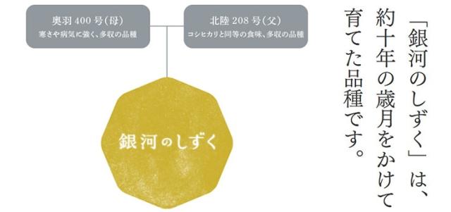 銀河のしずくは約10年の歳月をかけて育てた品種です。