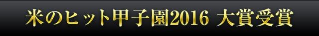 米のヒット甲子園2016 大賞受賞