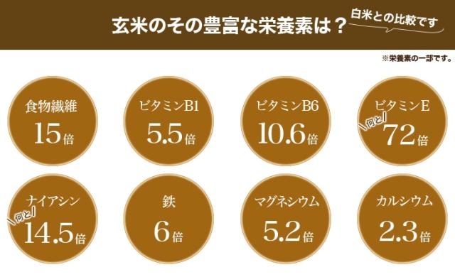 玄米のその豊富な栄養素は?