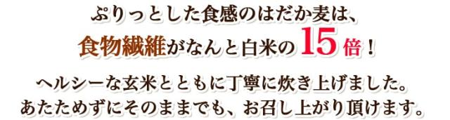 ぷりっとした食感のはだか麦は、食物繊維がなんと白米の15倍！