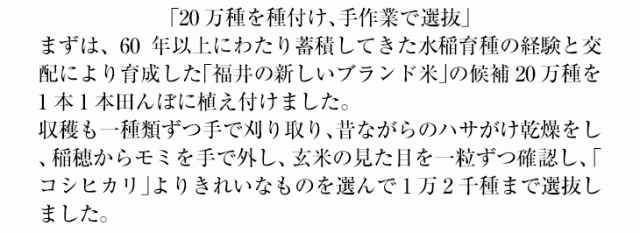 「いちほまれ」よりきれいなものを選んで1万2千種まで選抜しました。