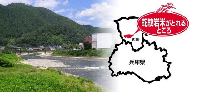 蛇紋岩米がとれるところ