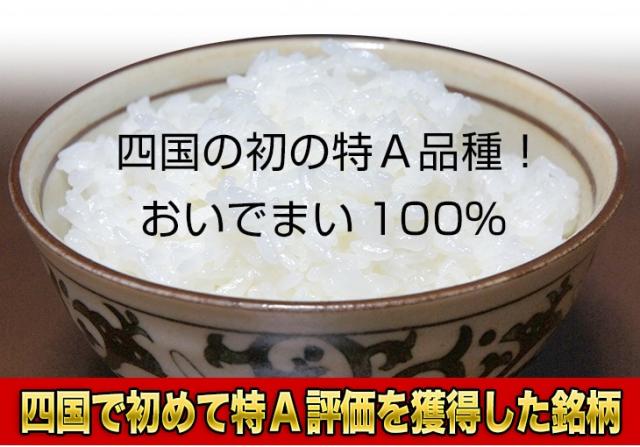 四国の初の特A品種