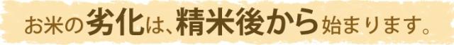 お米の劣化は、精米後から始まります。