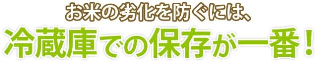 お米の劣化を防ぐには、冷蔵庫での保存が一番！