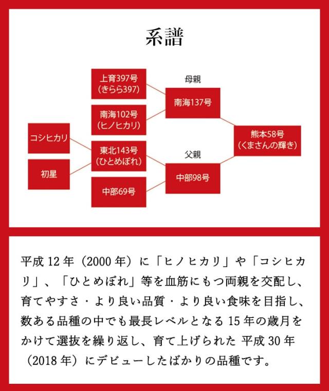 系譜