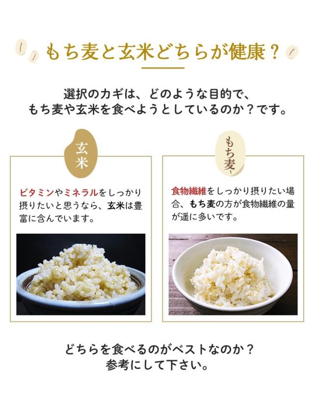 もち麦と玄米どちらが健康?