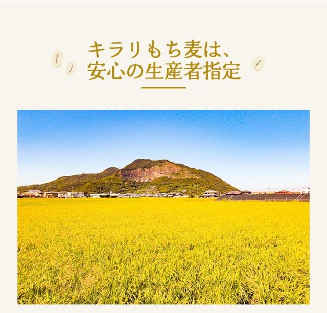 もち麦は安心の生産者指定